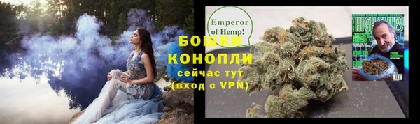 Альфа ПВП Няндома