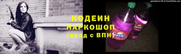 Альфа ПВП Няндома