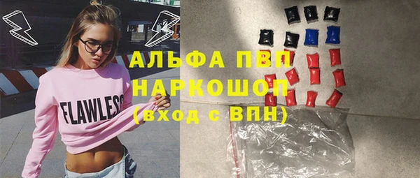 Альфа ПВП Няндома