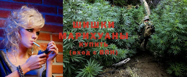 Альфа ПВП Няндома