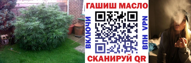 мориарти клад  Киреевск  блэк спрут   ТГК концентрат  цены  
