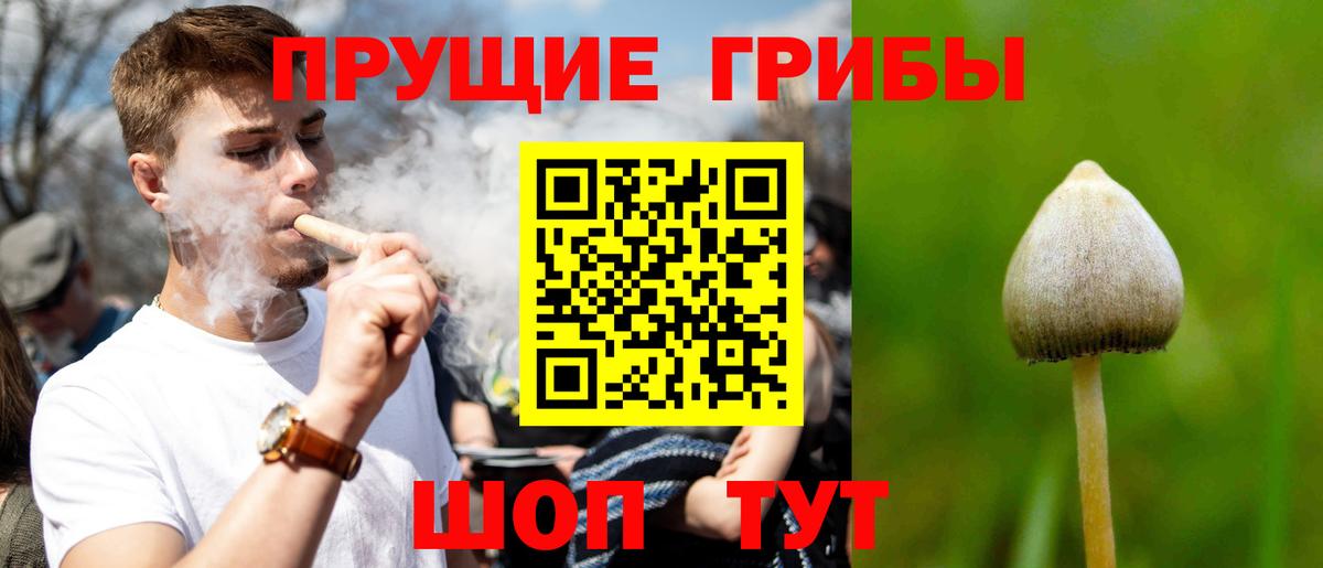 Псилоцибиновые грибы MAGIC MUSHROOMS Киреевск